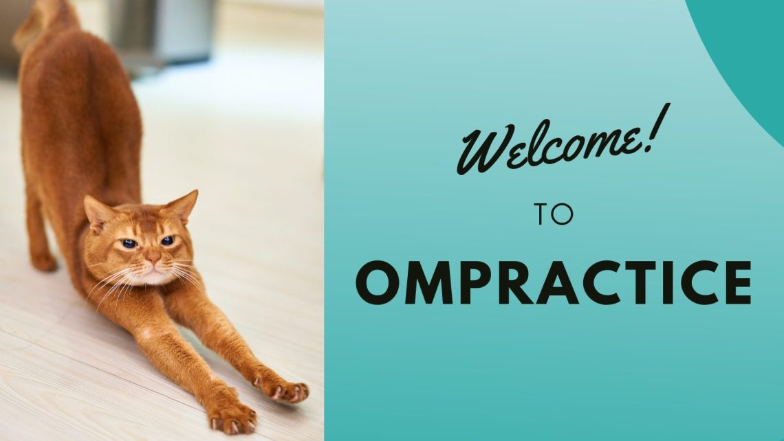 a cat doing a yoga stretch and text that says welcome to ompractice